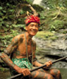 Borneo Explorer
