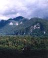 Mulu National Park