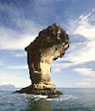 Borneo Wilderness 