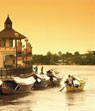 Just Cat City - Kuching
